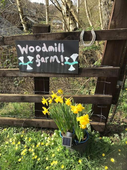 Woodmill Farm Cottage Alvington Kültér fotó